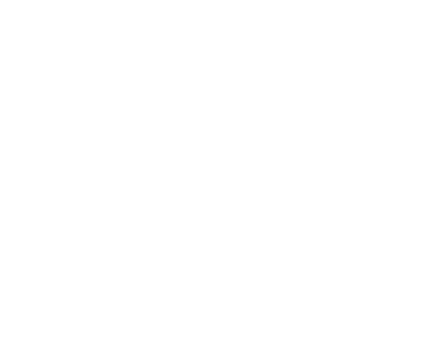 1NB Logo White